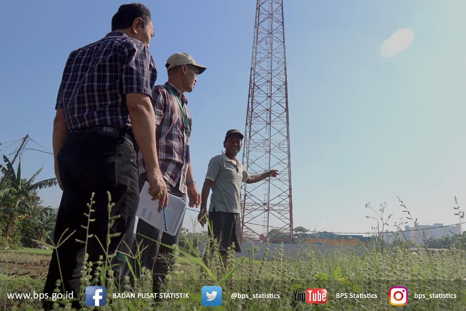 Role Playing Survei Hortikultura di Pinggiran Ibu Kota