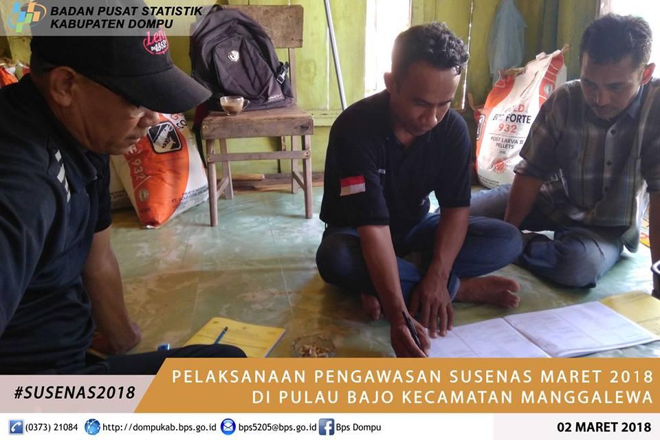 Pengawasan Susenas Maret 2018 di Pulau Bajo Kecamatan Manggelewa