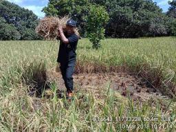 Survei Ubinan di Kecamatan Pekat Kabupaten Dompu