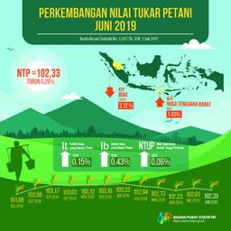 NTP Nasional Juni 2019 Turun 0,28 Persen