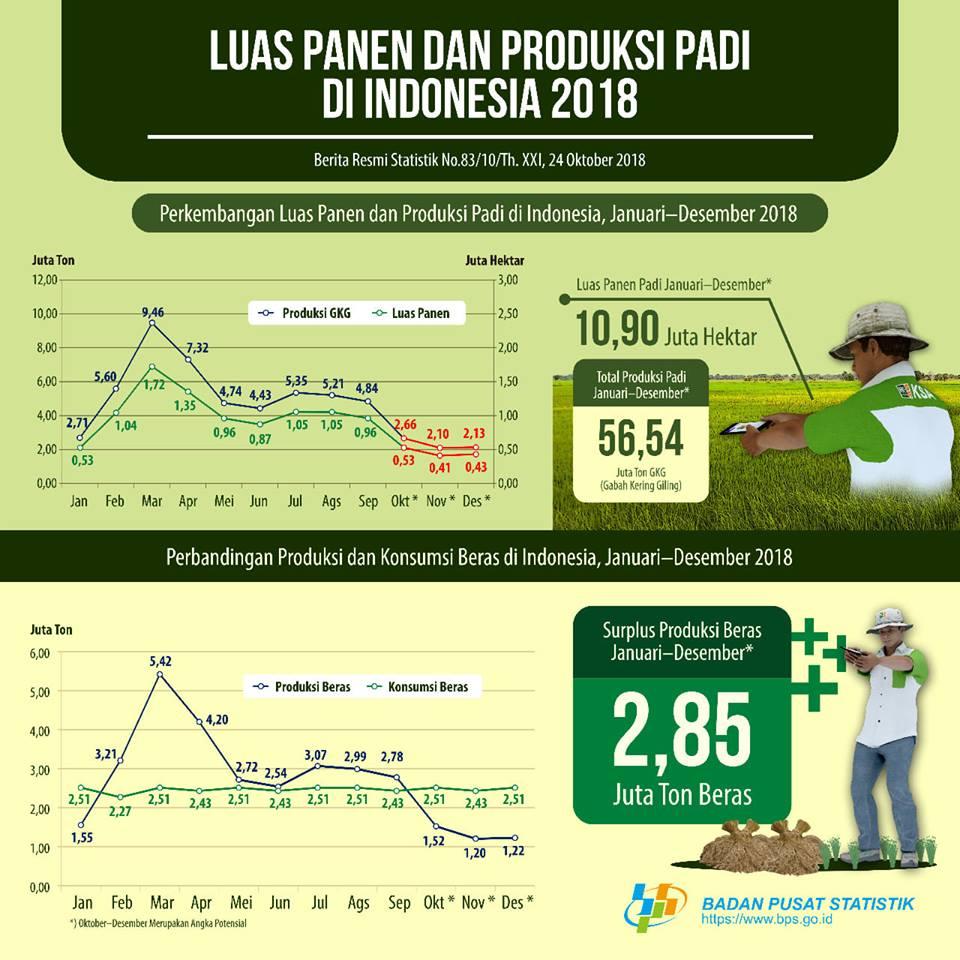 BPS Rilis Data Luas Panen dan Produksi Padi 2018