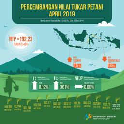 NTP Nasional April 2019 Turun 0,49 Persen