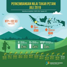 NTP Juli 2019 Naik 0,29 Persen