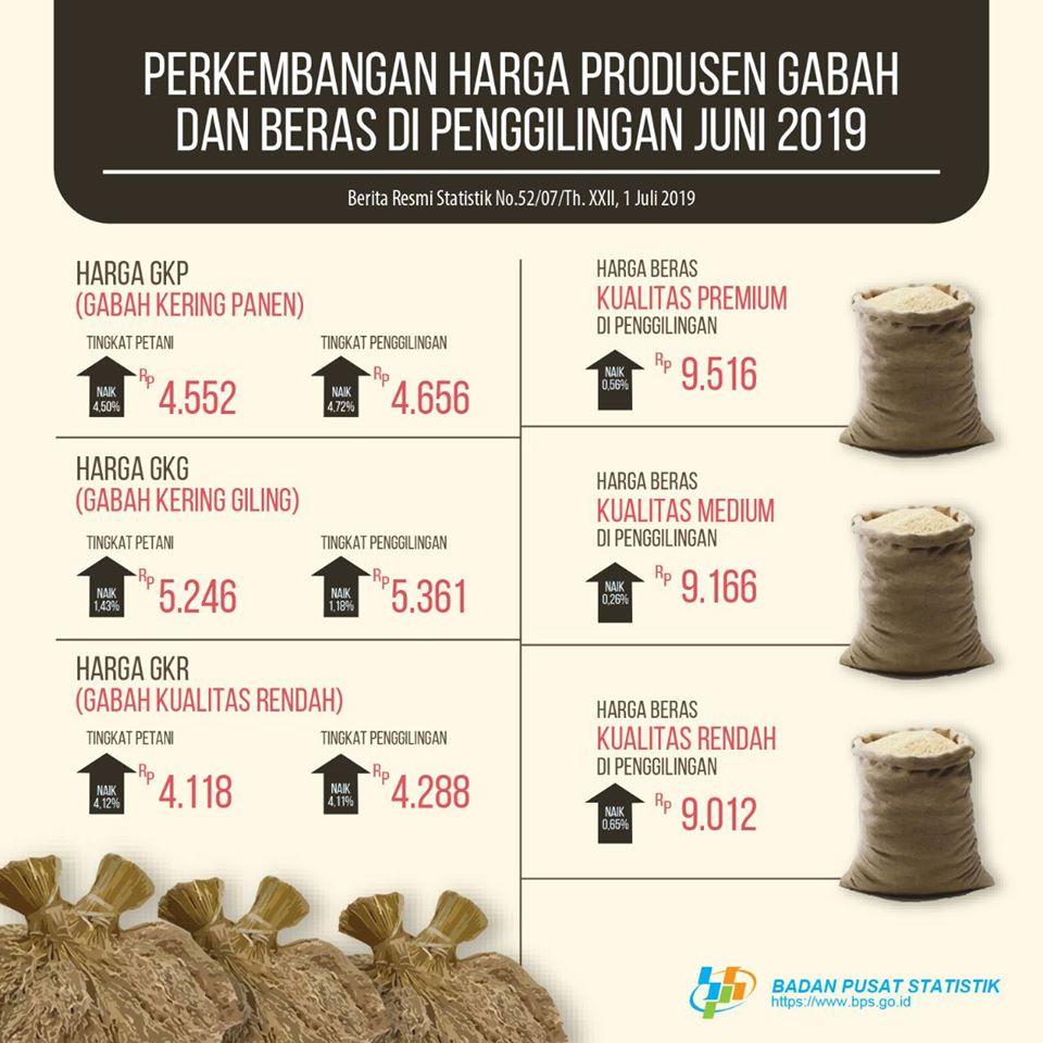 Juni 2019, Harga Gabah Kering Panen di Petani Naik 4,5 Persen