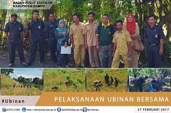 Ubinan (Survei Produktivitas Tanaman Pangan)  Subround 1 Tahun 2017 BPS Kabupaten Dompu